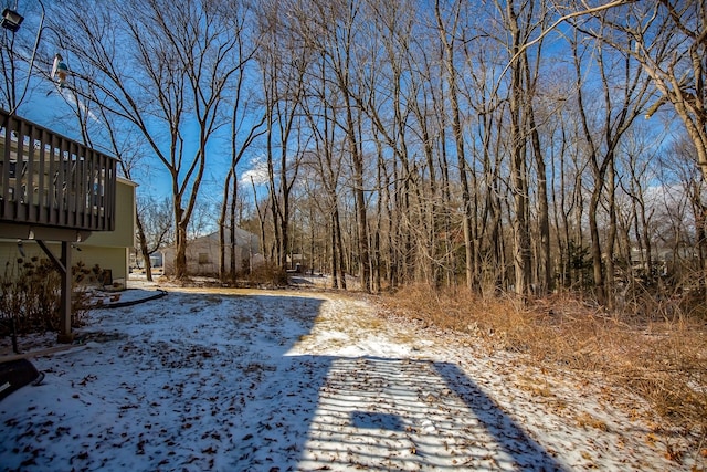 view of snowy yard