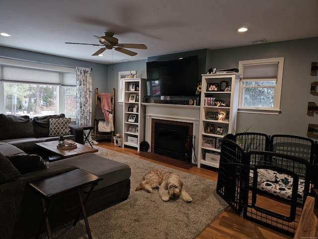 living room with hardwood / wood-style floors and ceiling fan