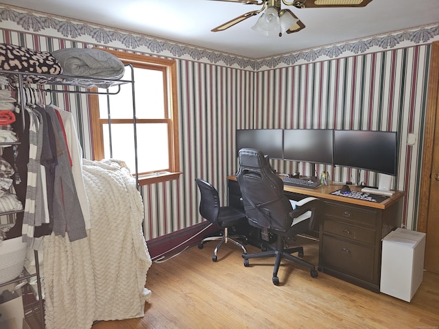 office space featuring ceiling fan and light wood-type flooring