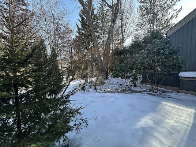 view of yard layered in snow