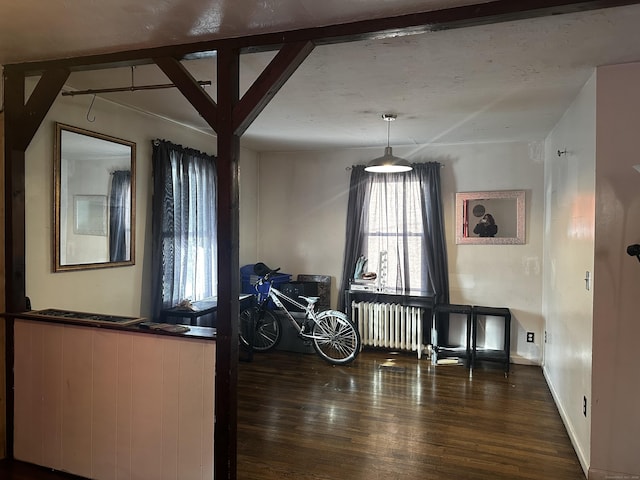 dining area featuring radiator heating unit and dark hardwood / wood-style flooring