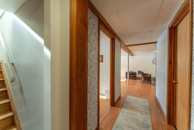 hall featuring a drop ceiling and light hardwood / wood-style floors