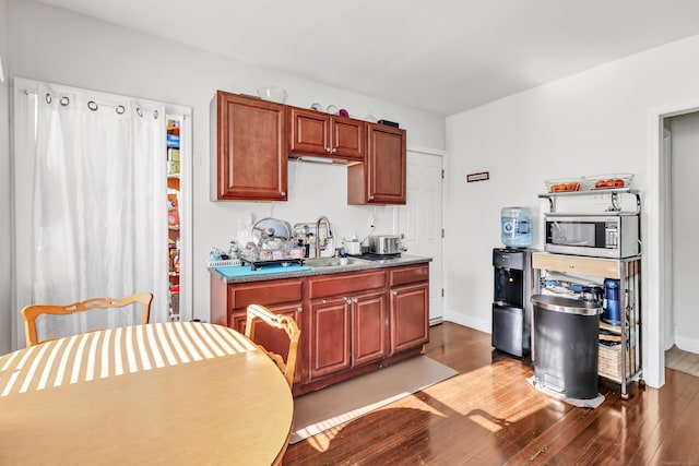 kitchen featuring dark wood-type flooring and sink