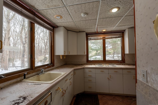 kitchen with white cabinetry, a drop ceiling, sink, and a wealth of natural light