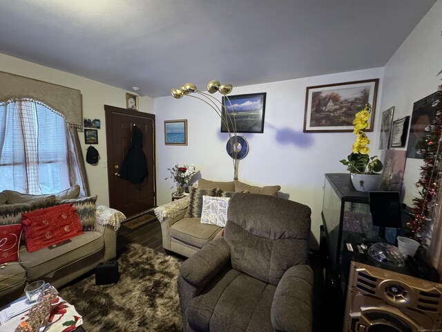 living room with hardwood / wood-style flooring