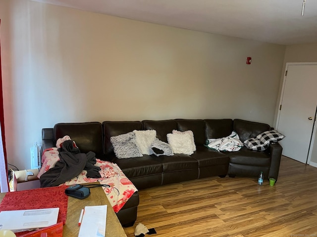 living room featuring wood-type flooring