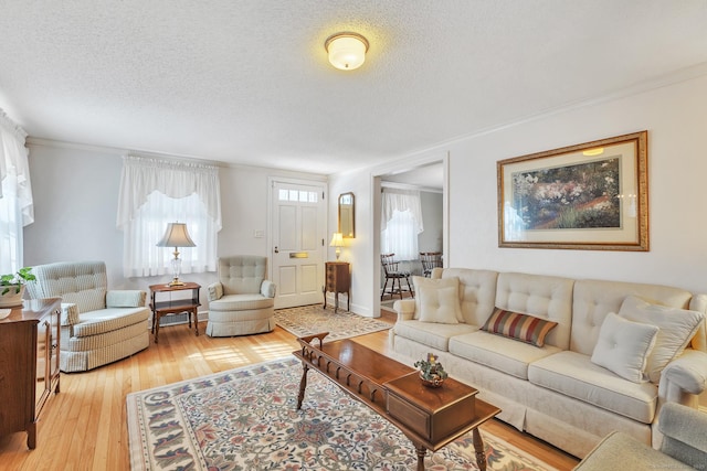 living room with ornamental molding, a textured ceiling, and light hardwood / wood-style flooring