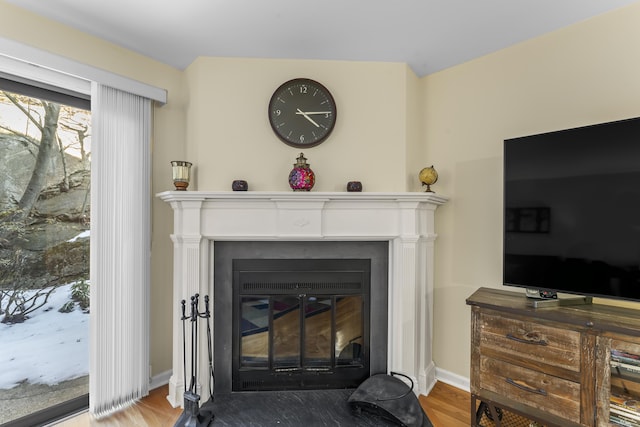 details with a fireplace with flush hearth, baseboards, and wood finished floors