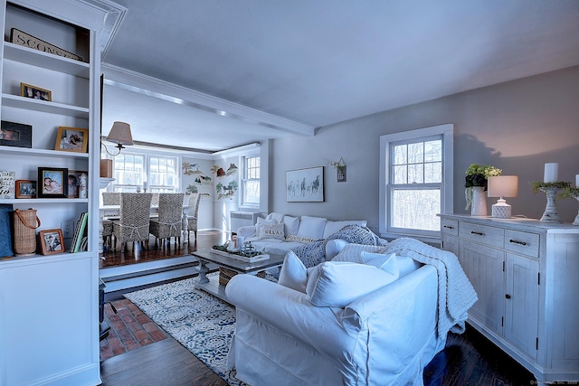 living room with a healthy amount of sunlight and beam ceiling