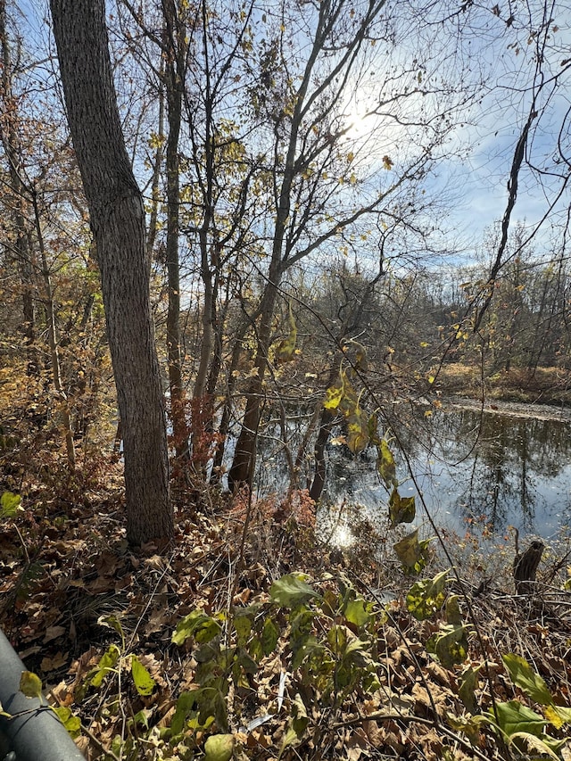 view of water feature