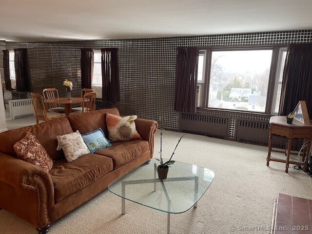 carpeted living room featuring radiator heating unit