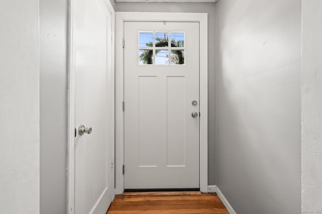 entryway featuring wood-type flooring