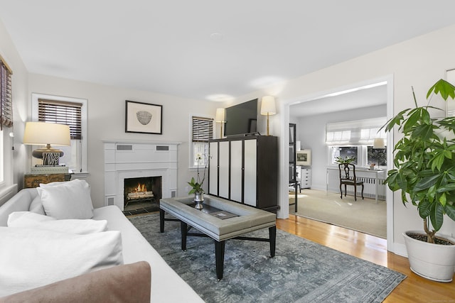 living room with wood-type flooring