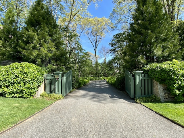109 Elys Ferry Rd, Lyme, CT 06371 - view of asphalt driveway with a gate and a gated entry