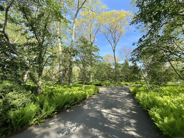 109 Elys Ferry Rd, Lyme, CT 06371 - view of road