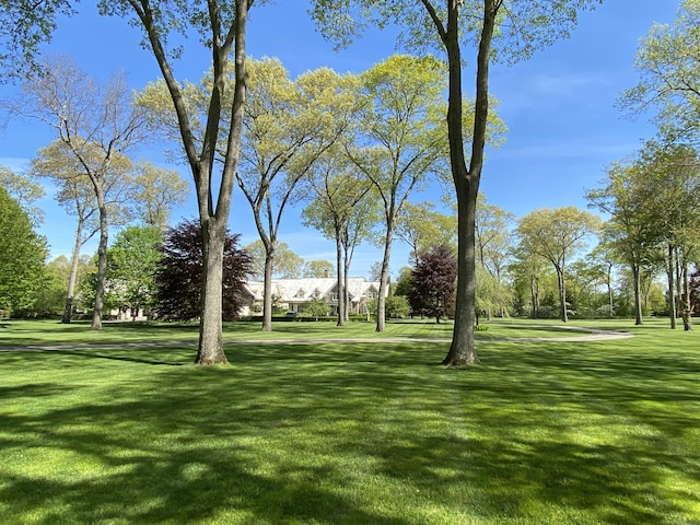 109 Elys Ferry Rd, Lyme, CT 06371 - view of green lawn