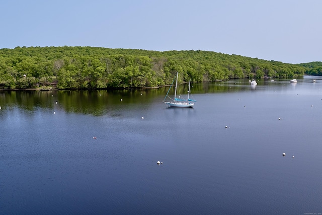 109 Elys Ferry Rd, Lyme, CT 06371 - water view with a forest