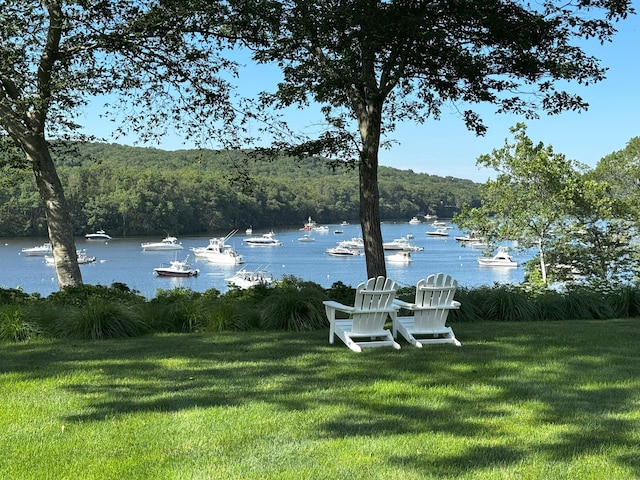 109 Elys Ferry Rd, Lyme, CT 06371 - view of grassy yard with a water view and a view of trees