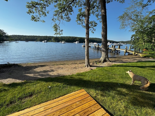 109 Elys Ferry Rd, Lyme, CT 06371 - dock with a lawn and a water view