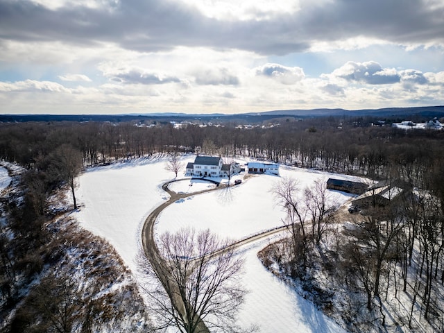 view of snowy aerial view