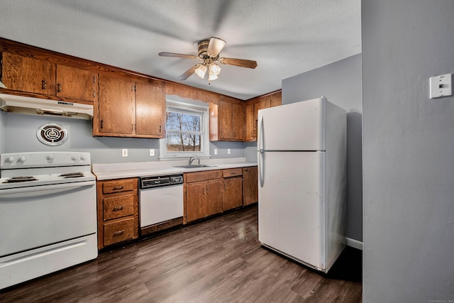 kitchen with sink, white appliances, a textured ceiling, dark hardwood / wood-style flooring, and ceiling fan