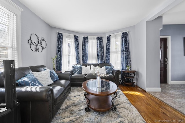 living room with hardwood / wood-style flooring and a healthy amount of sunlight