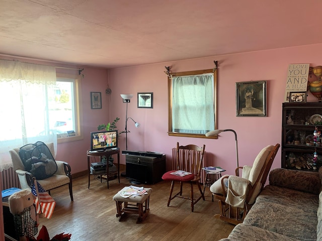 living room featuring wood-type flooring