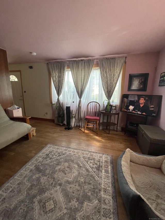 living room featuring hardwood / wood-style floors