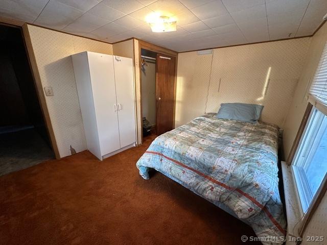 bedroom featuring crown molding, a closet, and carpet flooring