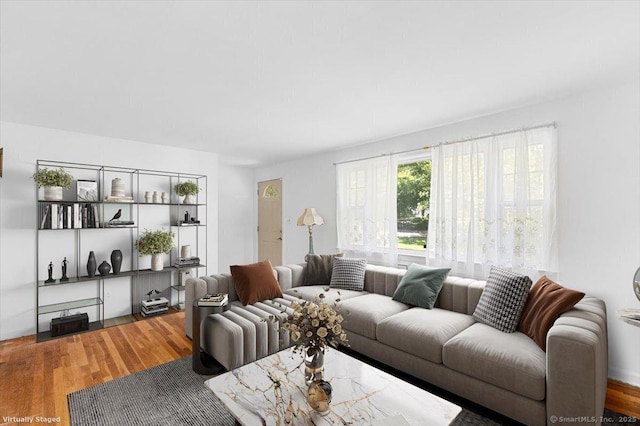 living room with wood-type flooring