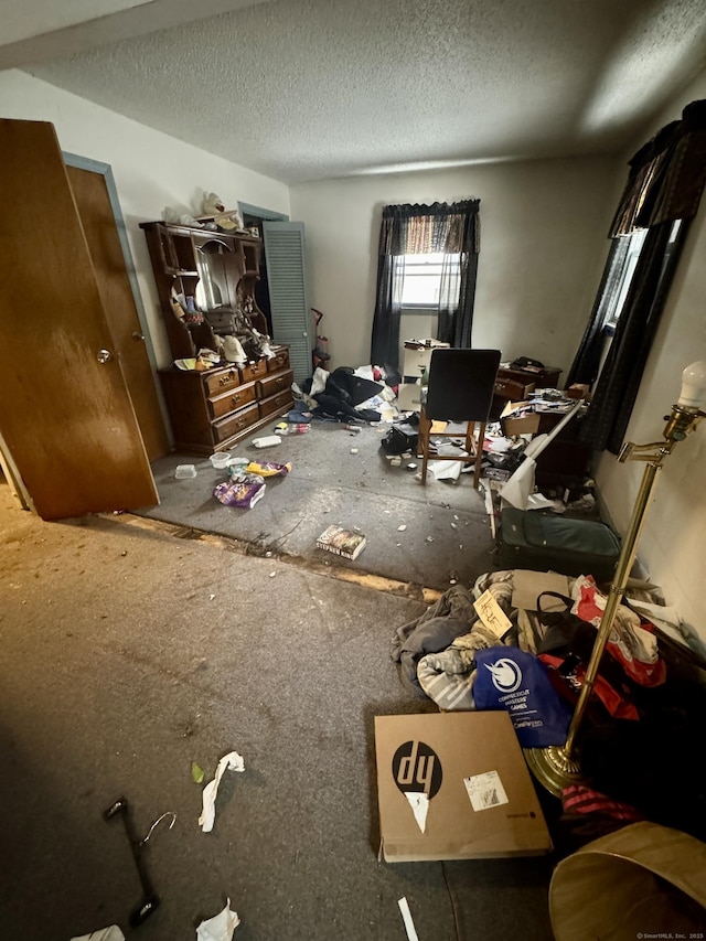 miscellaneous room with a textured ceiling