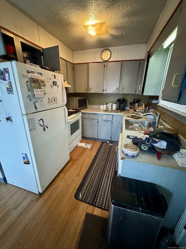 kitchen with sink, gray cabinetry, white appliances, and light hardwood / wood-style flooring