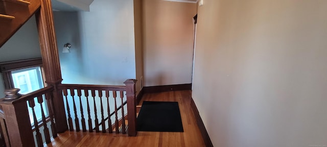 stairs featuring wood-type flooring