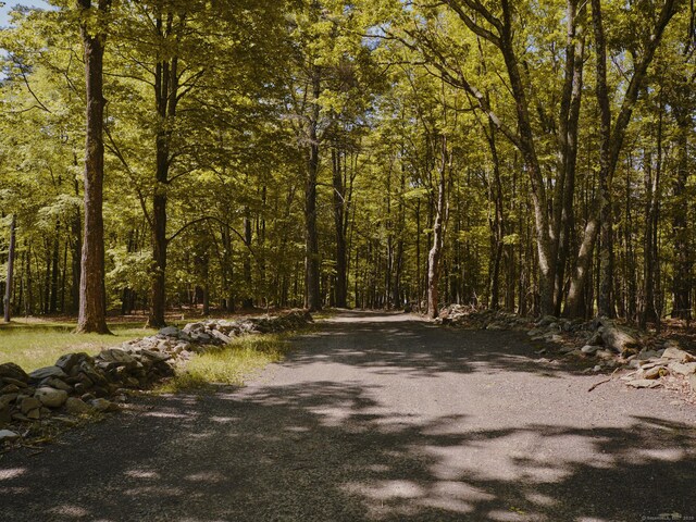 39 Hornbeck Ln, New York, NY 12404 - photo 34