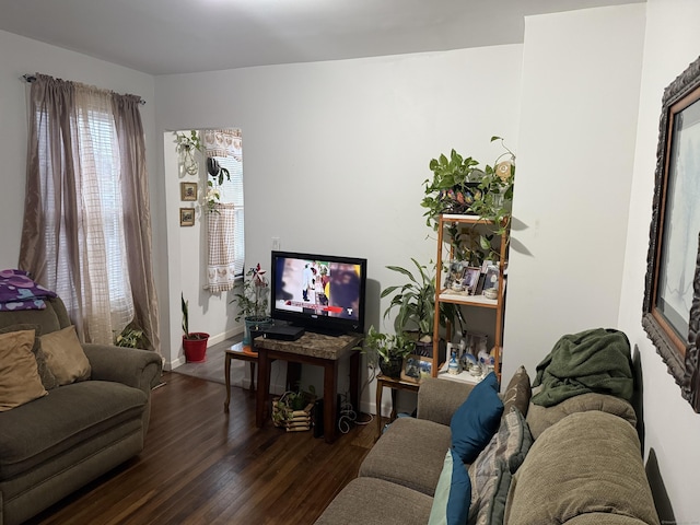 living room with dark hardwood / wood-style flooring