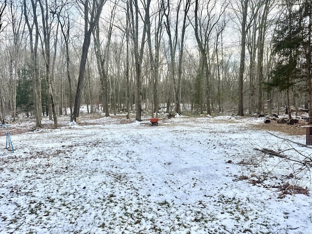 view of snowy yard