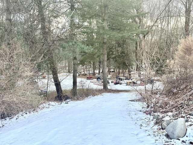 view of snowy yard