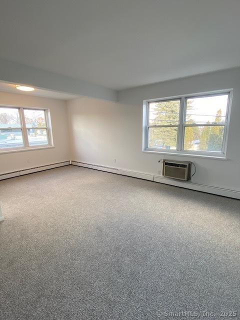 spare room featuring plenty of natural light and carpet flooring