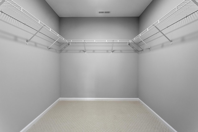 walk in closet featuring carpet flooring