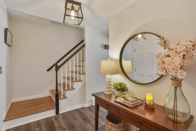 entryway with crown molding and dark hardwood / wood-style floors