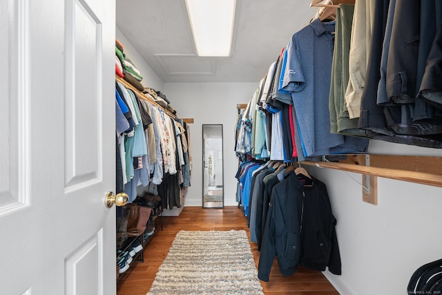 walk in closet featuring wood-type flooring