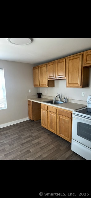 kitchen featuring sink, dark hardwood / wood-style flooring, and electric stove