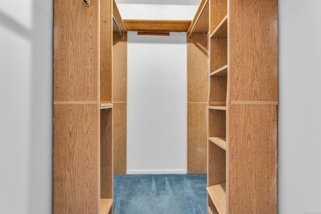 spacious closet with dark colored carpet