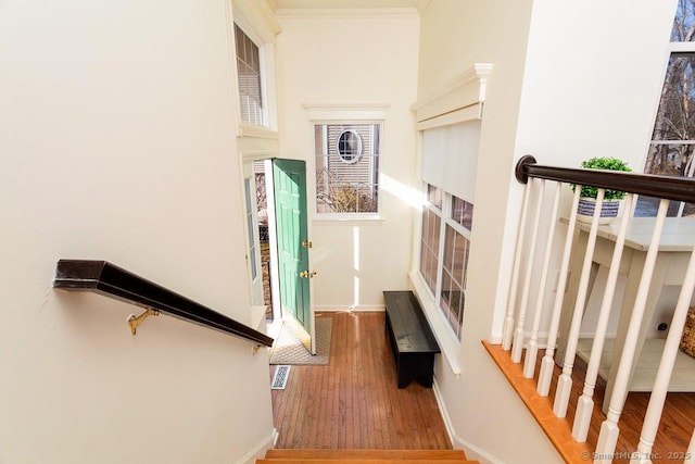 stairway featuring hardwood / wood-style floors