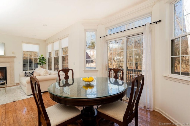 sunroom with a fireplace