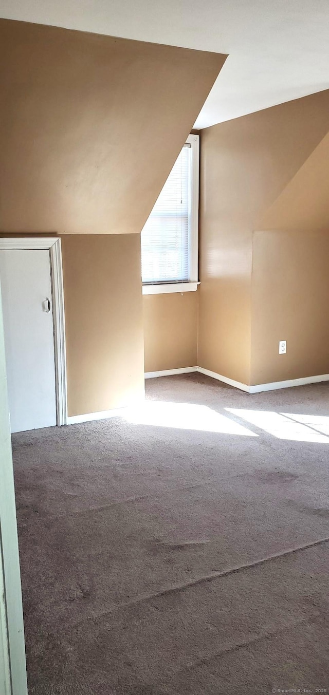 additional living space featuring carpet