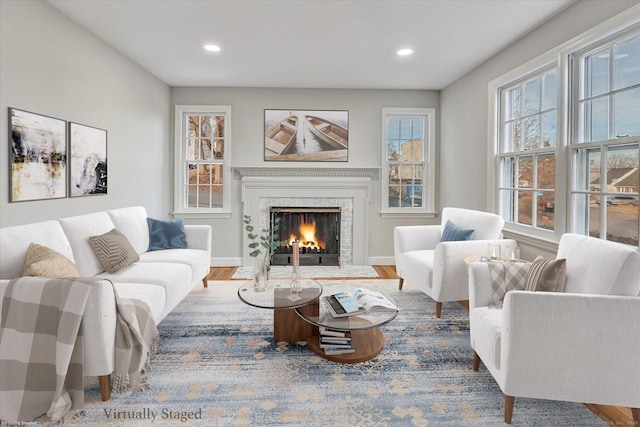 living room with hardwood / wood-style flooring and a premium fireplace