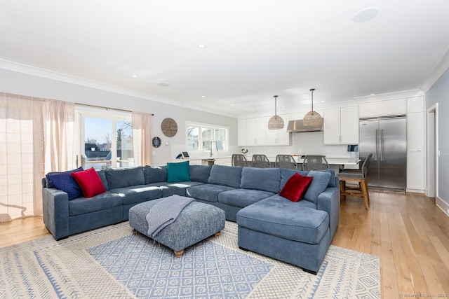 living room featuring ornamental molding and light wood-type flooring