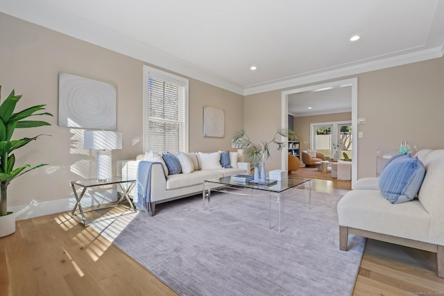 living room featuring ornamental molding and light hardwood / wood-style flooring