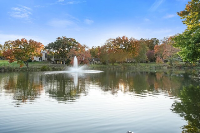 view of water feature